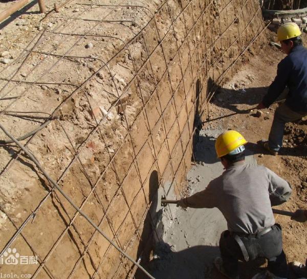 活力中國丨在數字化浪潮中感受中國經濟活力