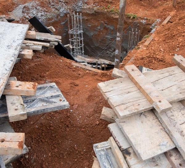 活力中國丨在數字化浪潮中感受中國經濟活力